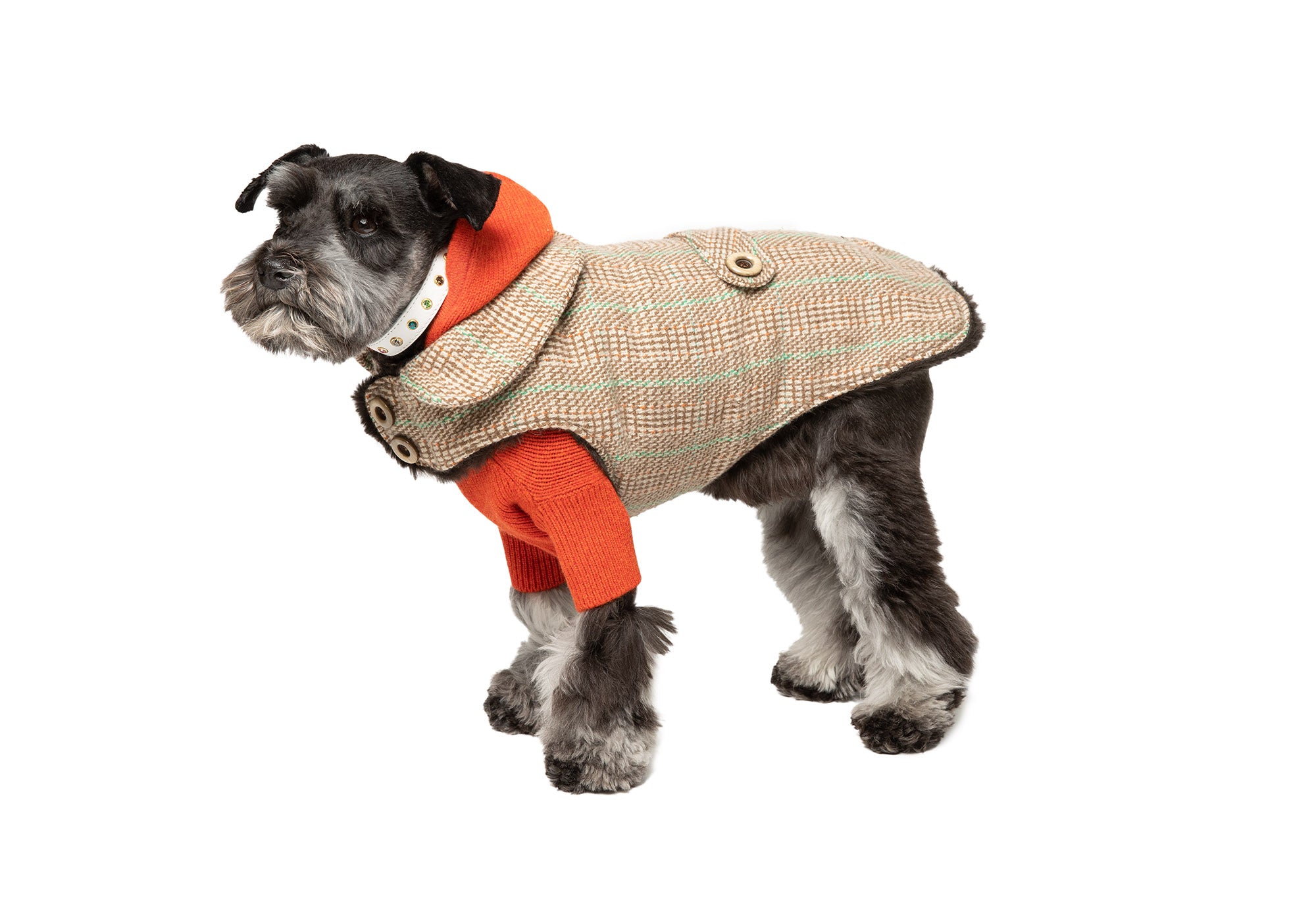 ralph lauren dog coats