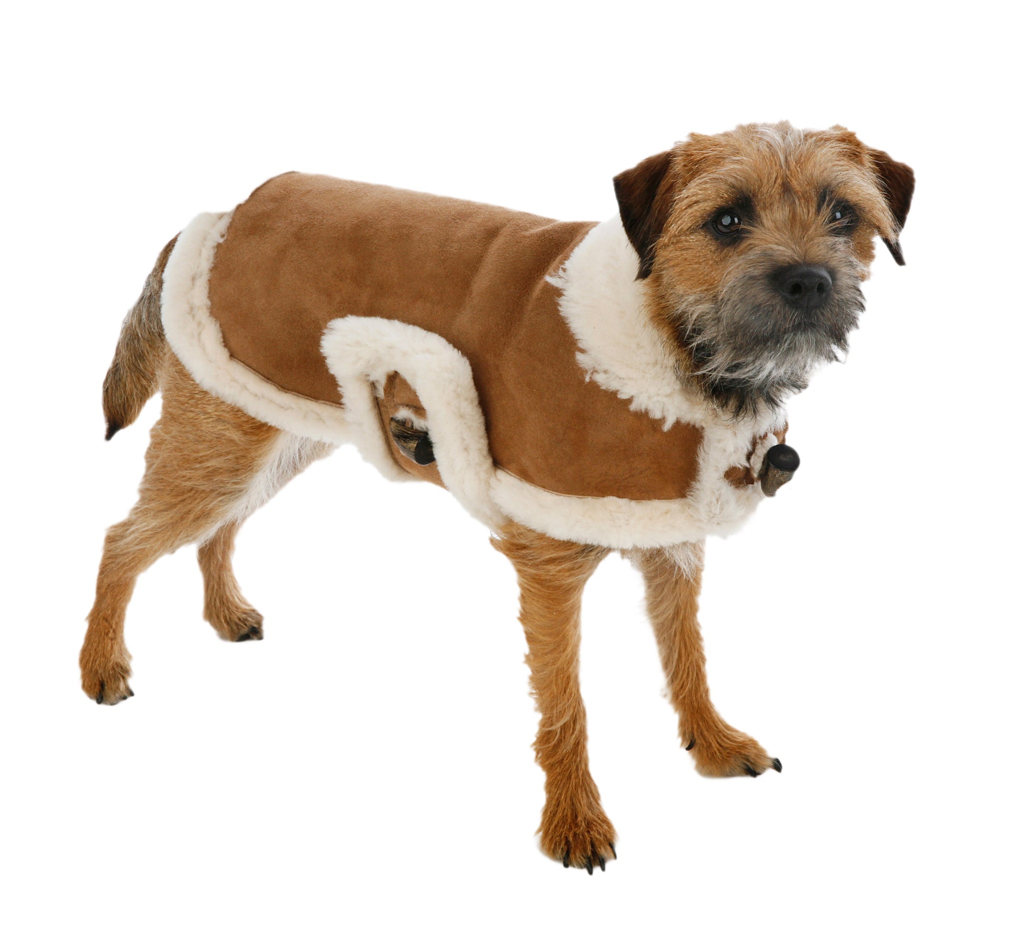 Dog Coat - Natural, Genuine Shearling, Dog Coats | CanineStyles
