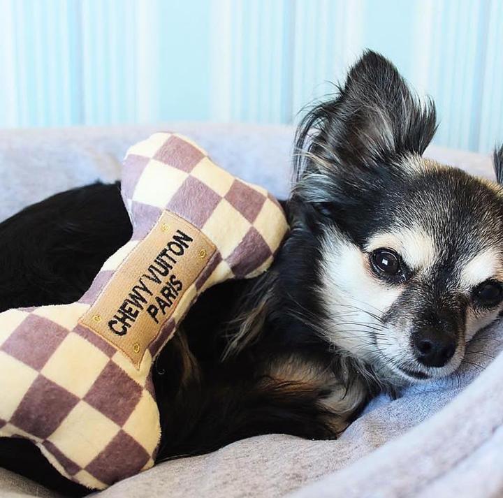 Checker Chewy Vuitton Bone Dog Toy - Dog Toy - 2 Sizes