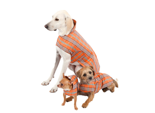 waxed dog coats with harness hole