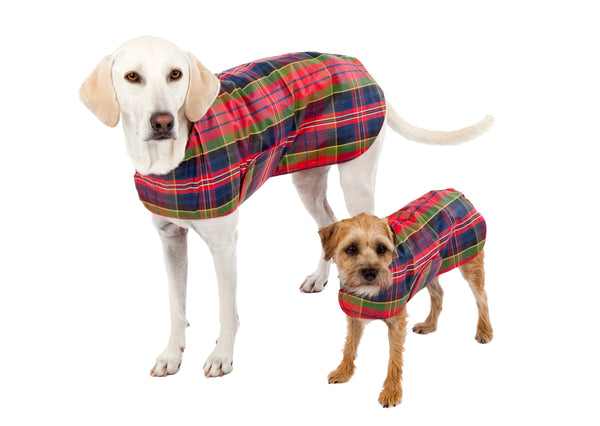 waxed dog coats with harness hole