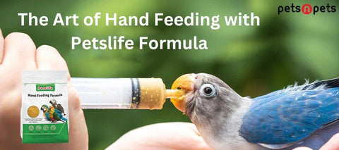 Pets Handfeeding