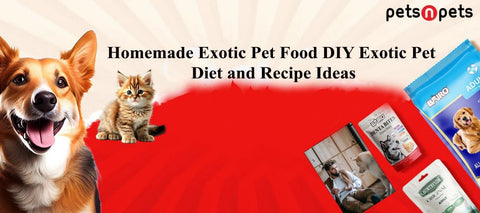 Homemade Exotic Pet Food: DIY Exotic Pet Diet and Recipe Ideas