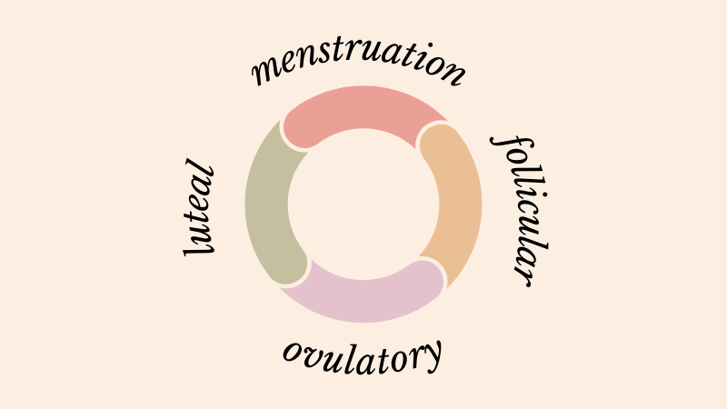 Menstrual Phase Cycle Syncing Guide — Functional Health Research +  Resources — Made Whole Nutrition