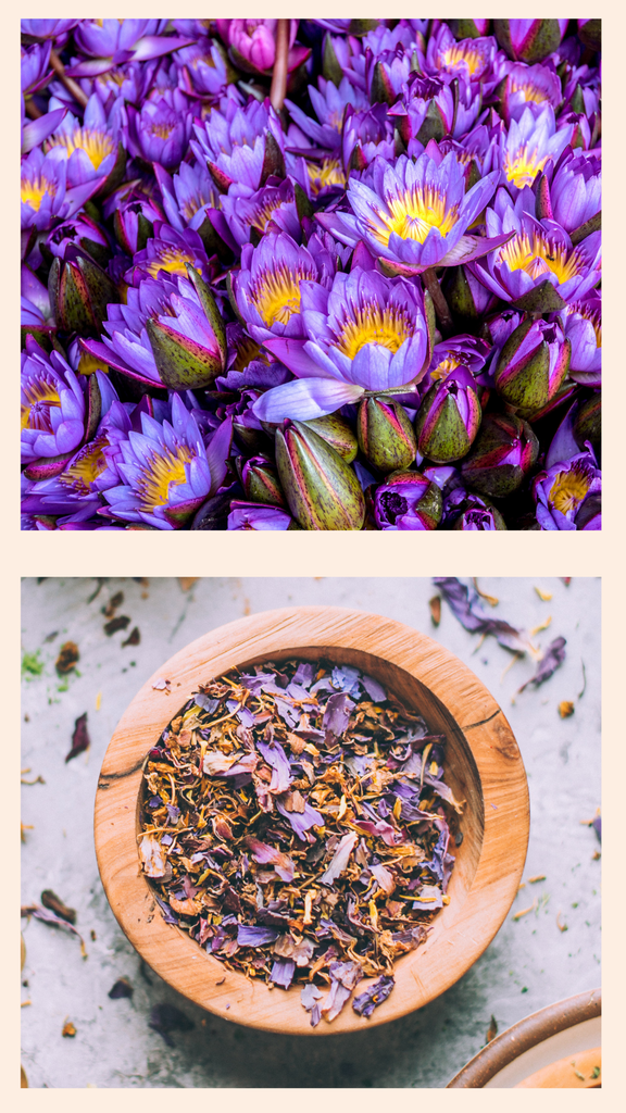 Dried Blue Lotus Flower | Tea Soul