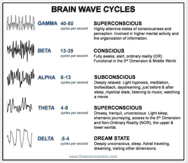 and lucid dream conscious brain waves