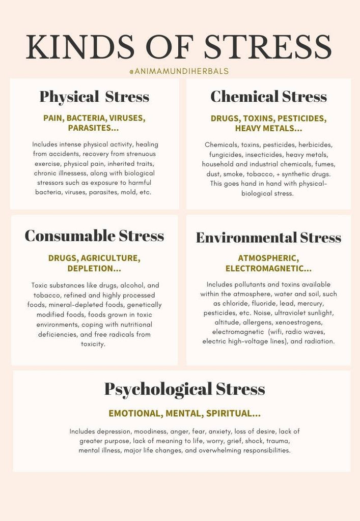 Image result for Ease PTSD with Ashwagandha infographics