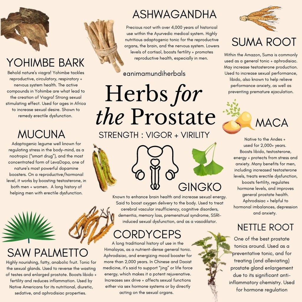 Herbal remedies for prostate health