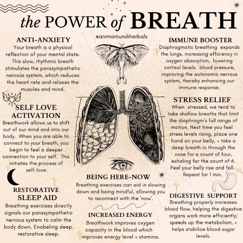 How Breath and the Cold Can Support Your Immune System – BRINK