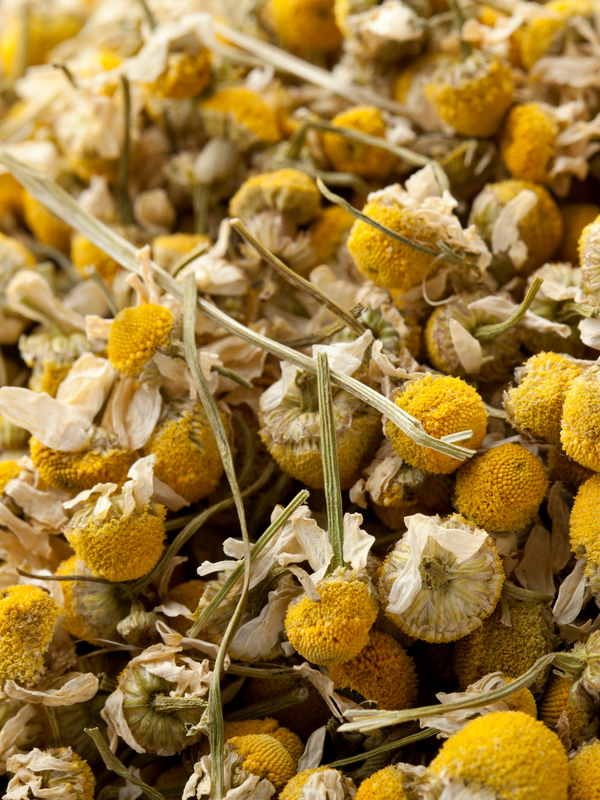 Calendula Flowers – Mountain Spirit Herbal Co.