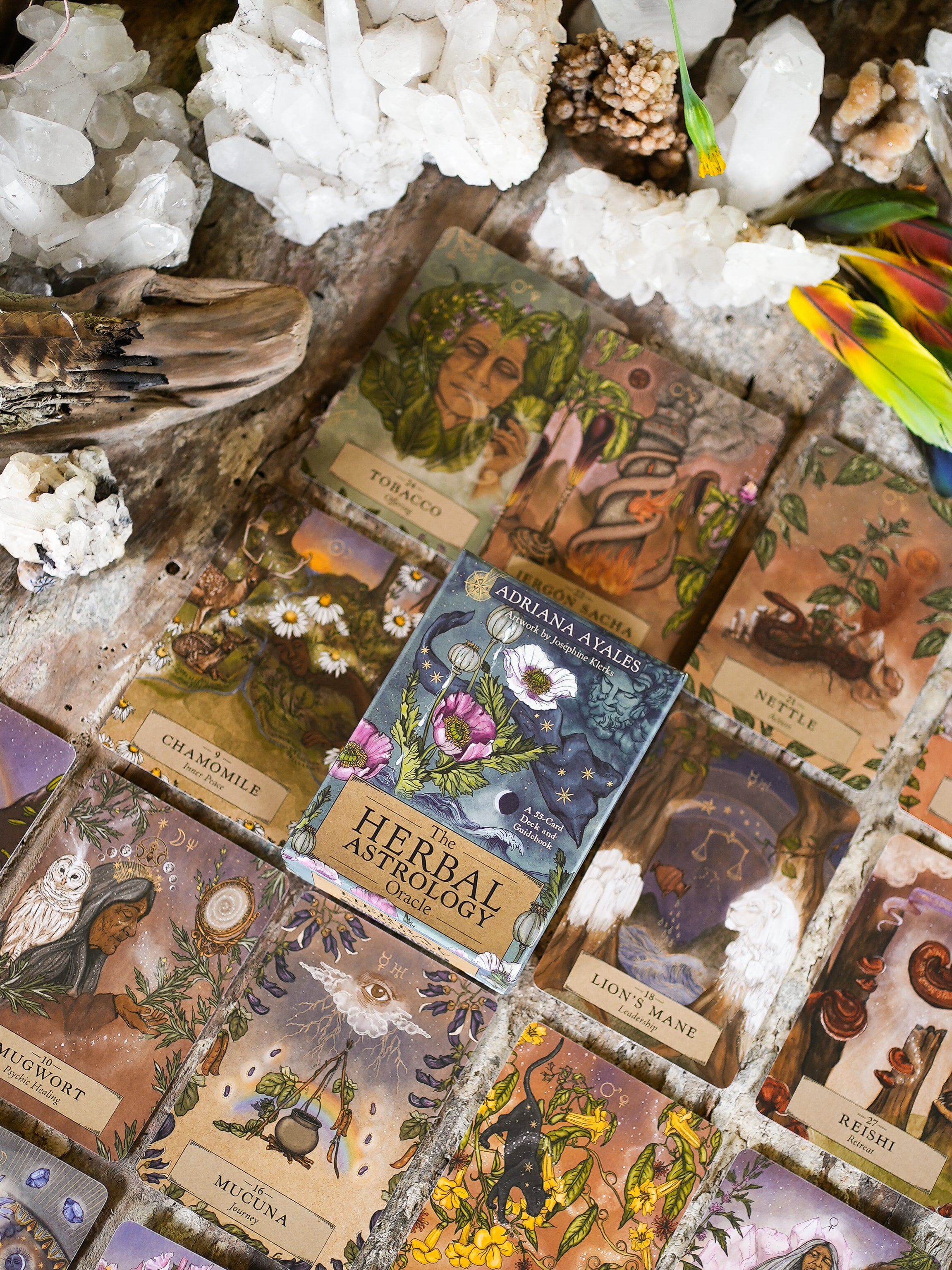 herbal astrology oracle deck