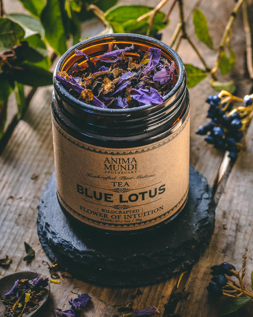 BLUE LOTUS Flower of Intuition Tea