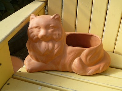 Cat pot