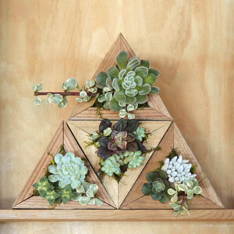 Corporate Gifting Program Succulent Holiday Gift Succulent Gardens