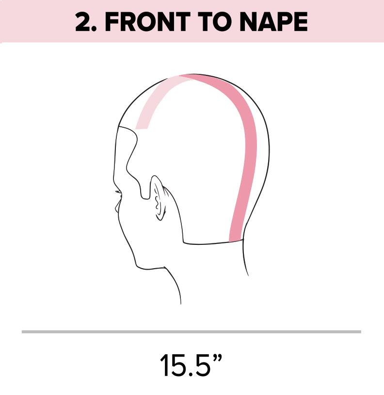Standard head measurement chart front to nape
