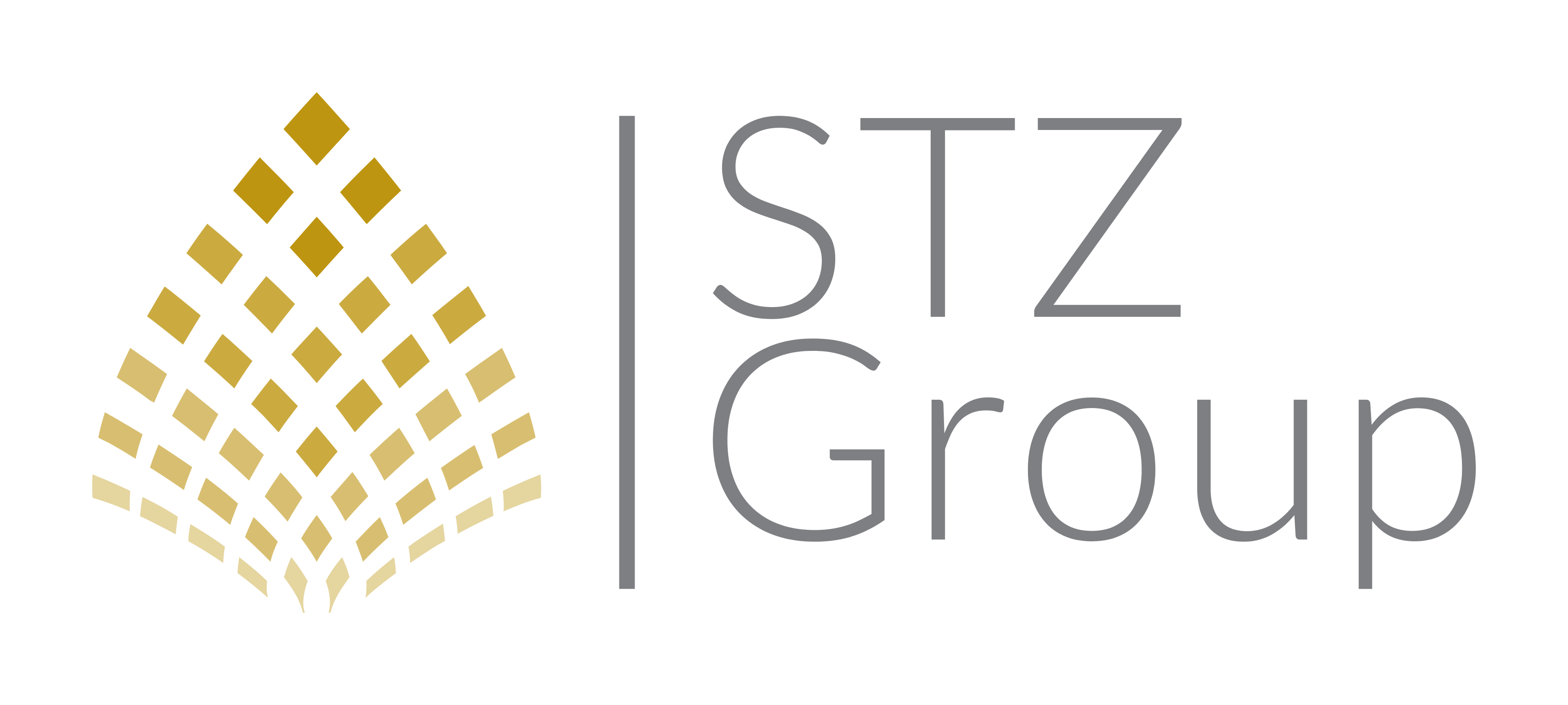 STZ Fashion Group