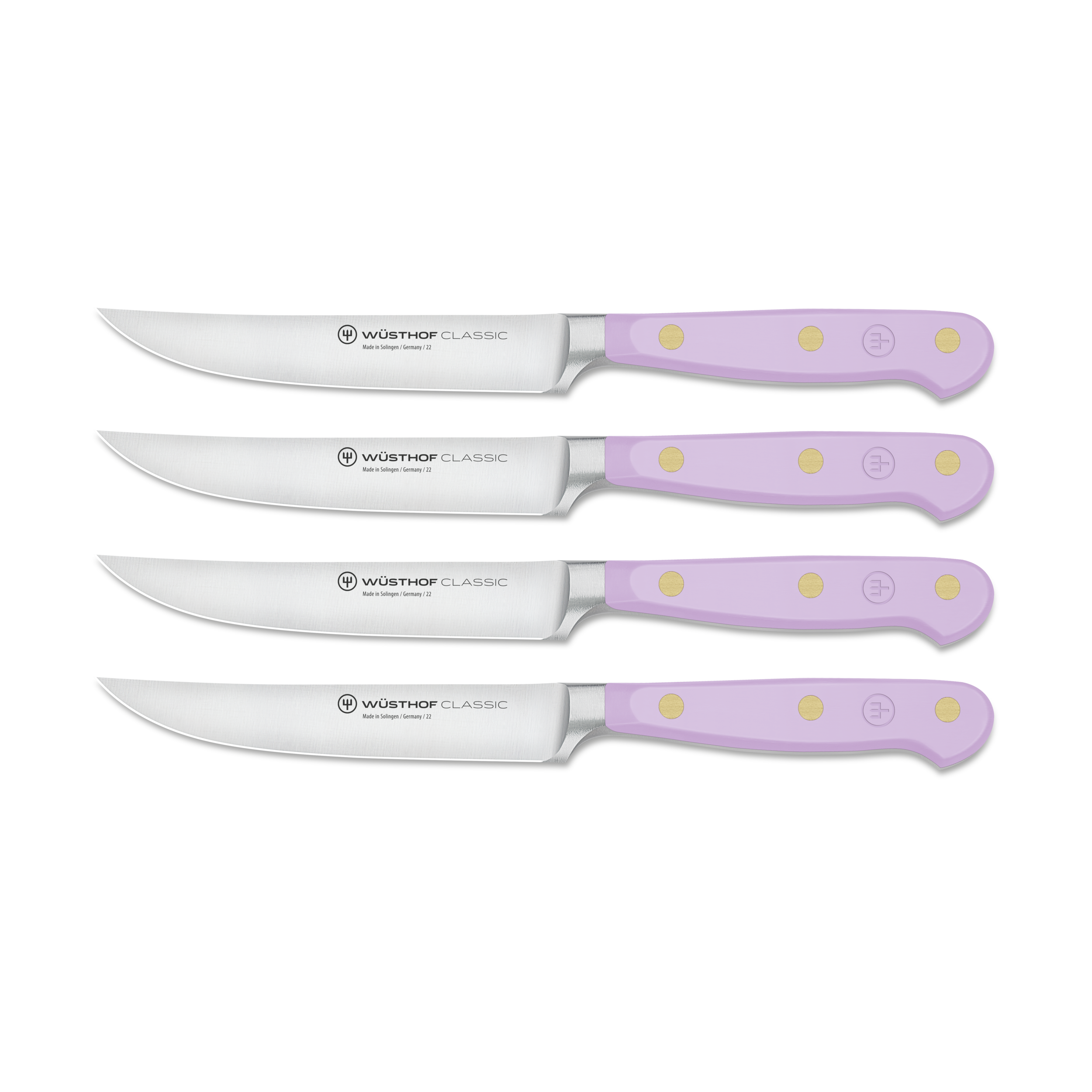 WÜSTHOF Classic 5-Piece Chef's Knife Set