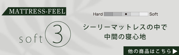 一番柔らかめのかたさ