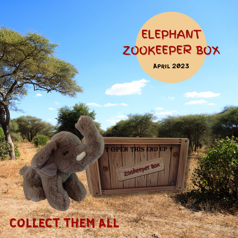 ELEPHANT ZOOKEEPER BOX.png__PID:3433207f-9248-427b-b58f-fefcb9d9eb3e