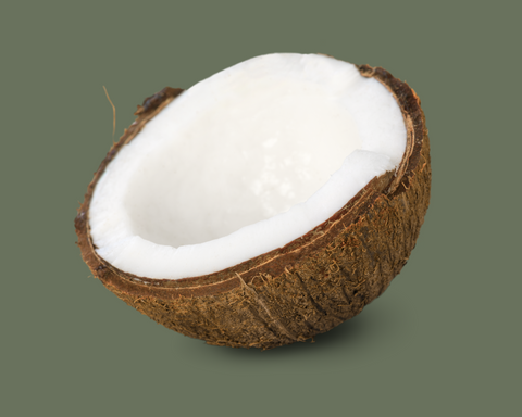 coconut image
