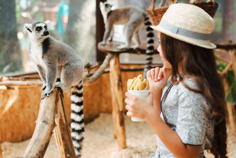 Tierischer Spaß: Ein Zoo-Abenteuer zu Hause