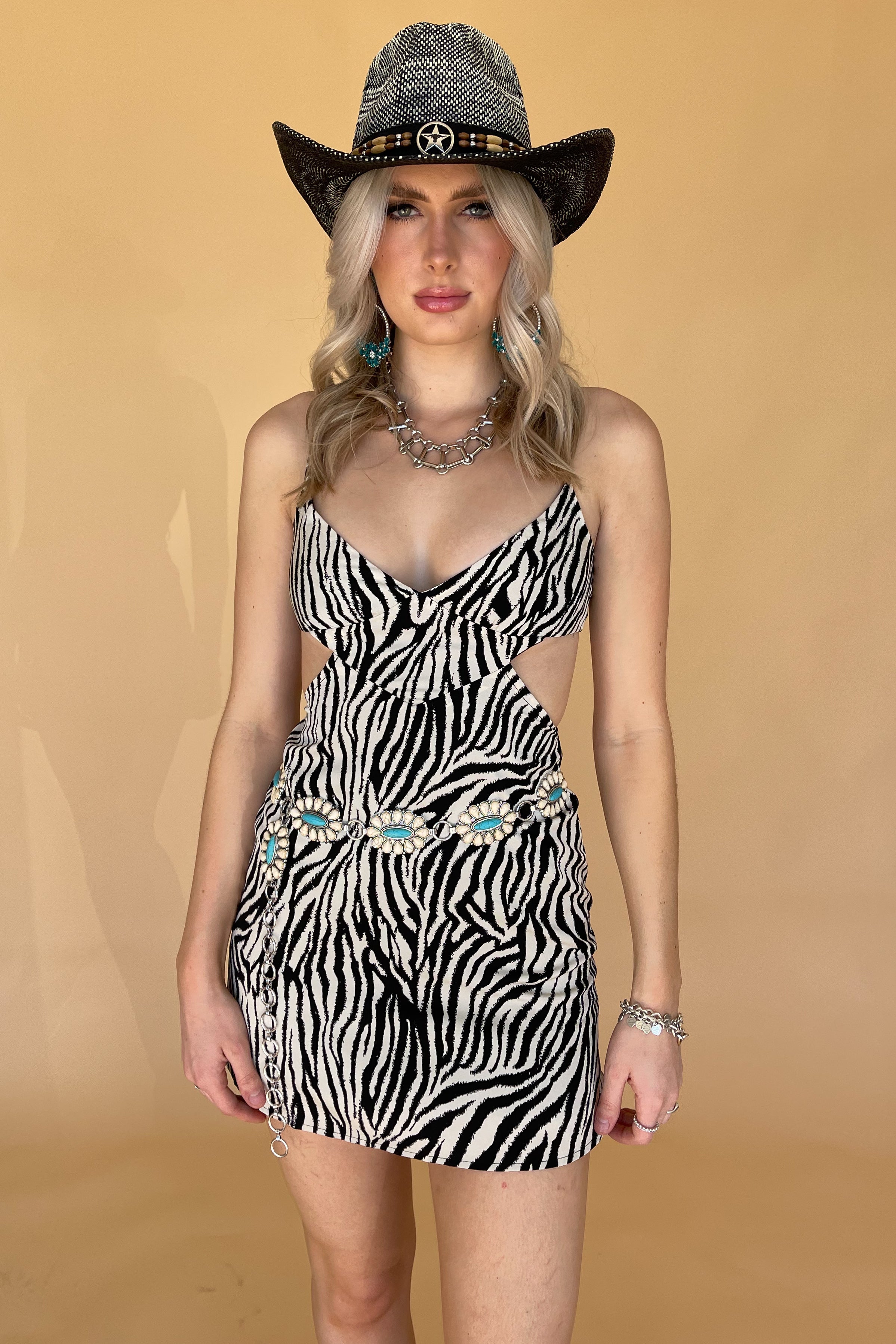 Iggy Mini Dress-Zebra - Image 3