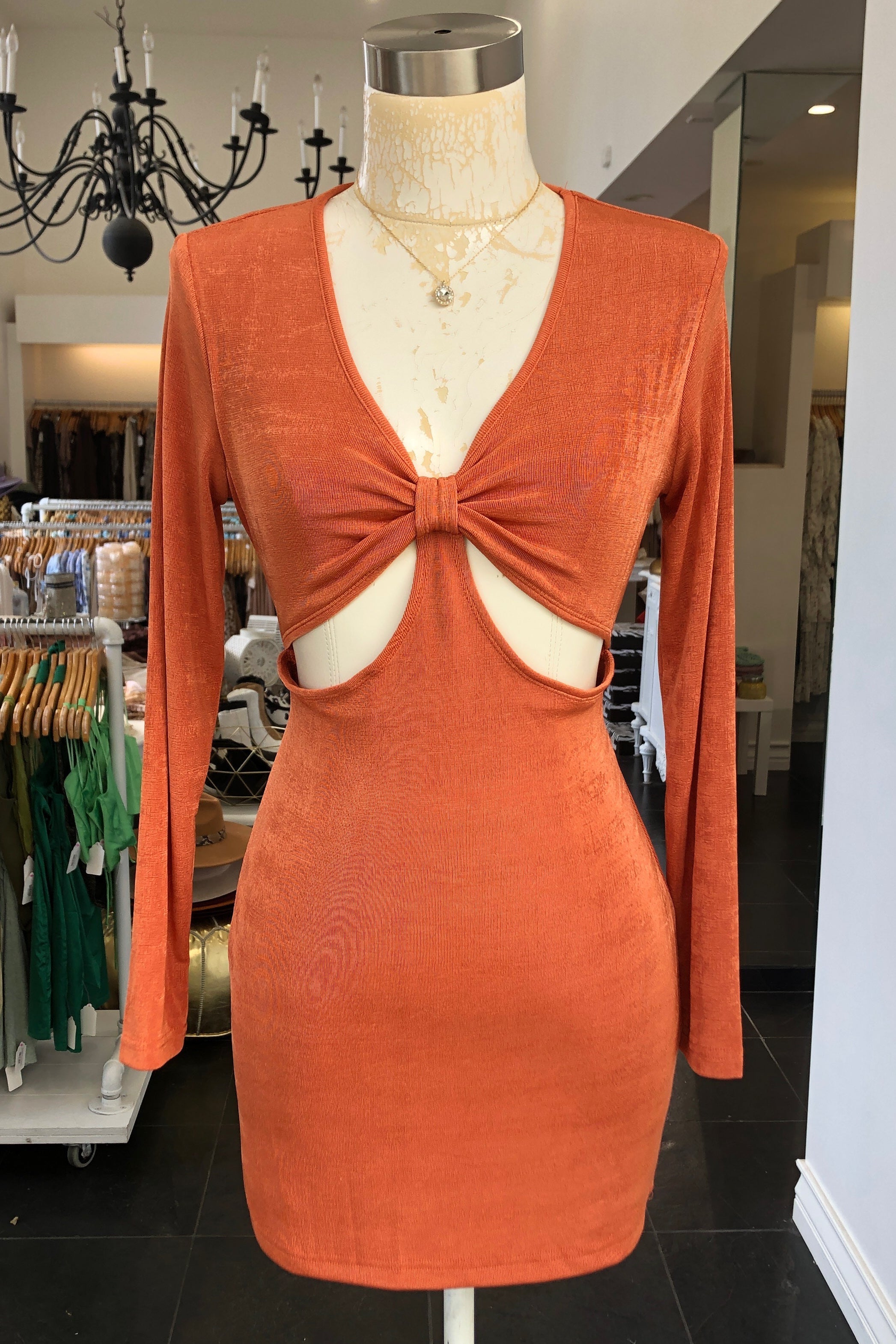 Lush Life Long Sleeve Dress-Summer Bronze