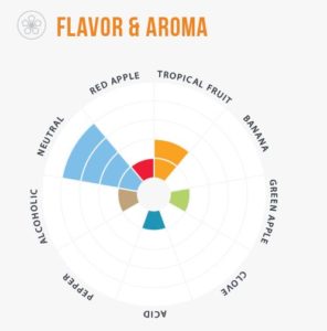 Beer Flavour Wheel