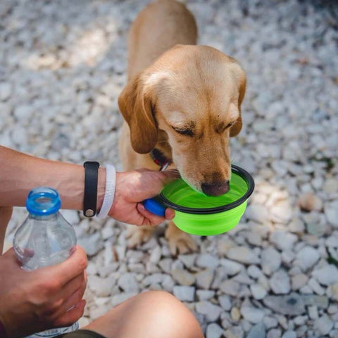 Bowl Portable Food Container Pet Accessories