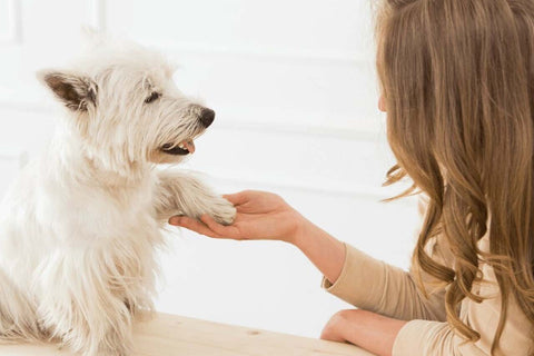 consider consulting with a veterinary nutritionist