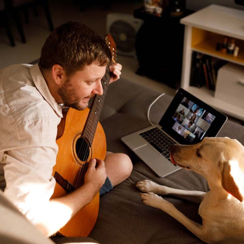 Discuss benefits of music therapy for dogs