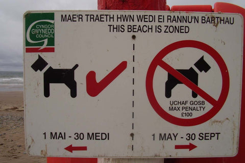 Follow the rules governing visiting public places with a dog