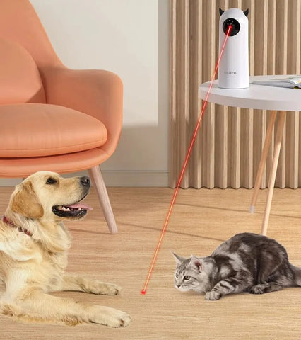 Interactive Smart Teasing Pet LED Laser Indoor Cat Toy Accessories