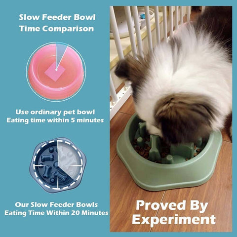 Puppy Cat Slow Feeding Bowl Pet Supplies