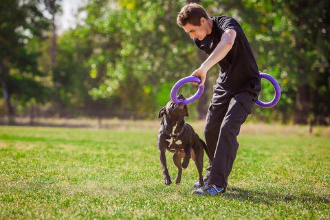 running and playing fetch with dog Training Ring