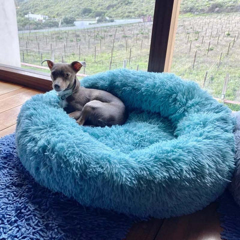 Soft Dog Bed Plush Cat Mat Dog Beds Round Pet Cushion