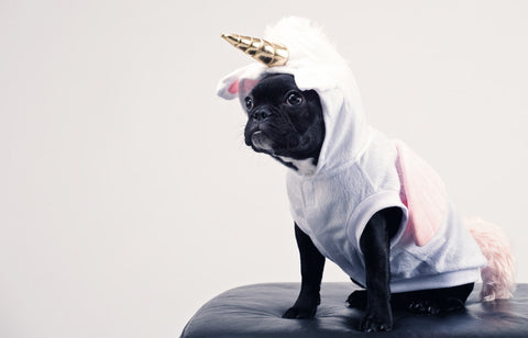 Unicorn Pet Costume