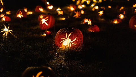Pumpkin Decorations for Halloween