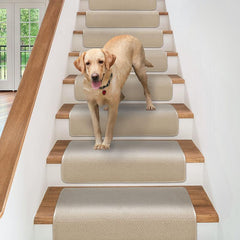 dog walking down stairs with overstep attachable carpet stair treads