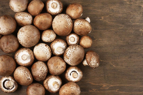 Mushrooms on a white background, symbolizing natural treatment options for Polycystic Ovary Syndrome (PCOS)