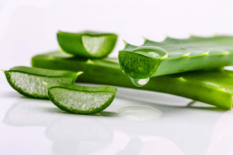 image features aloe vera leaves and slices, with a clear gel oozing from the cuts and a droplet poised to fall from the edge of a leaf slice. When relating this image to hair spray products, you could focus on keywords such as "aloe vera hair care," "natural hair styling,