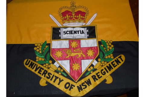 University of Regiment Flag
