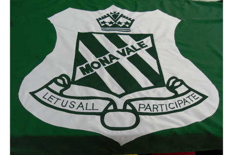 Mona Vale Public School "Let us all participate" Flag