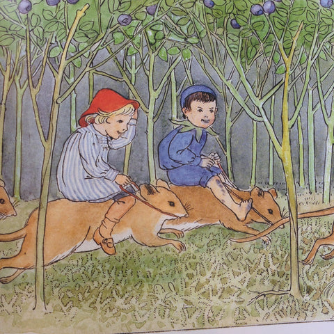 Peter in Blueberry Land by Elsa Beskow