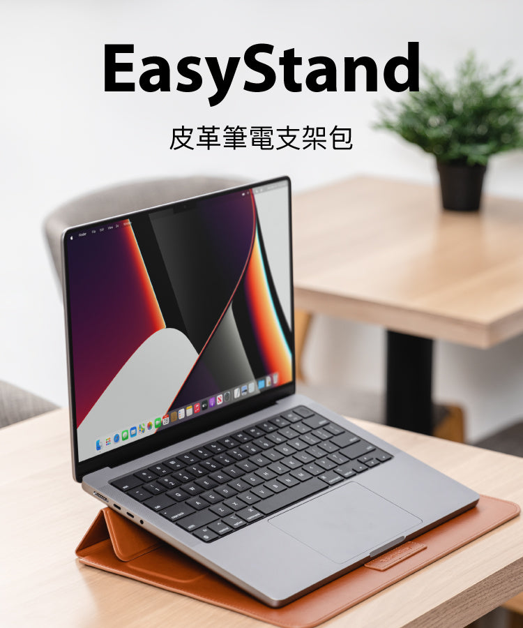 EasyStand