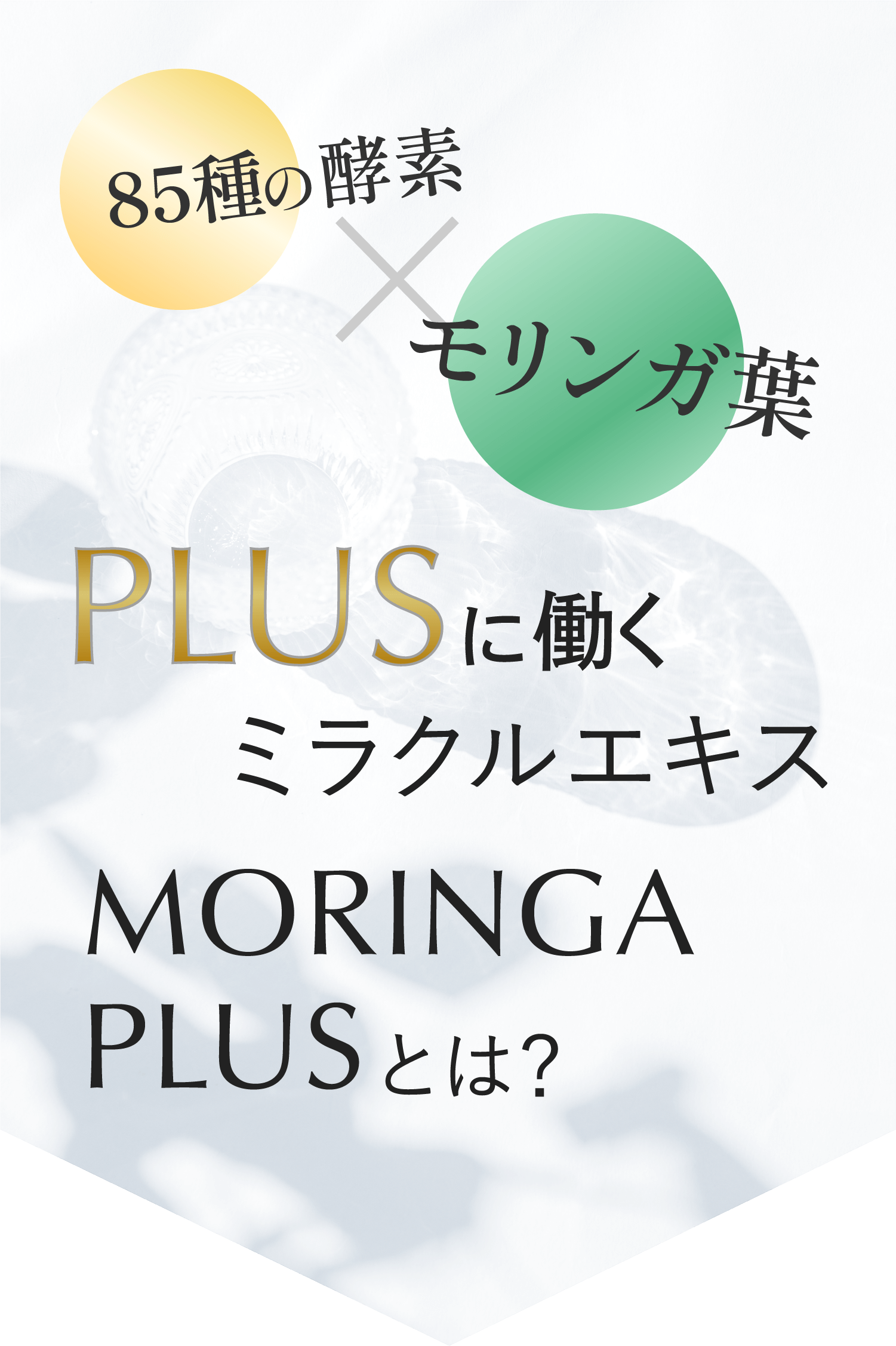 85種の酵素とモリンガ葉のミラクルエキスMORINGA PLUS