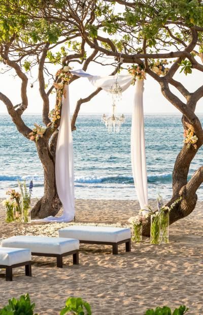 Boda-en-la-Playa-arbol-Mimetik-Bcn