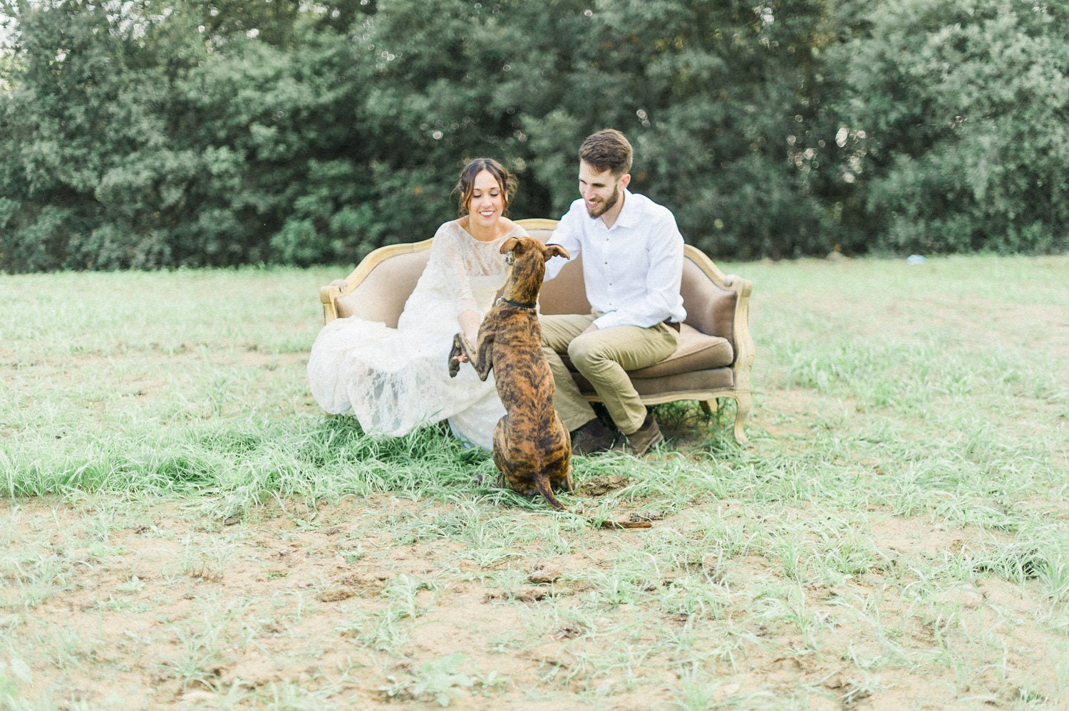 pre wedding photos with animals