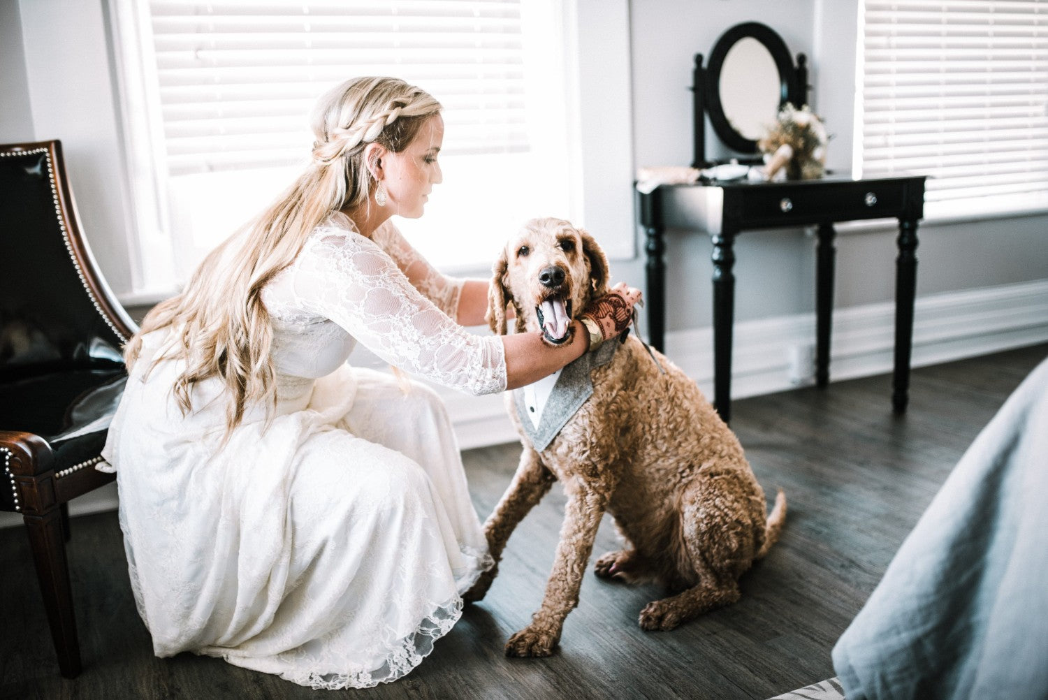 perros en bodas