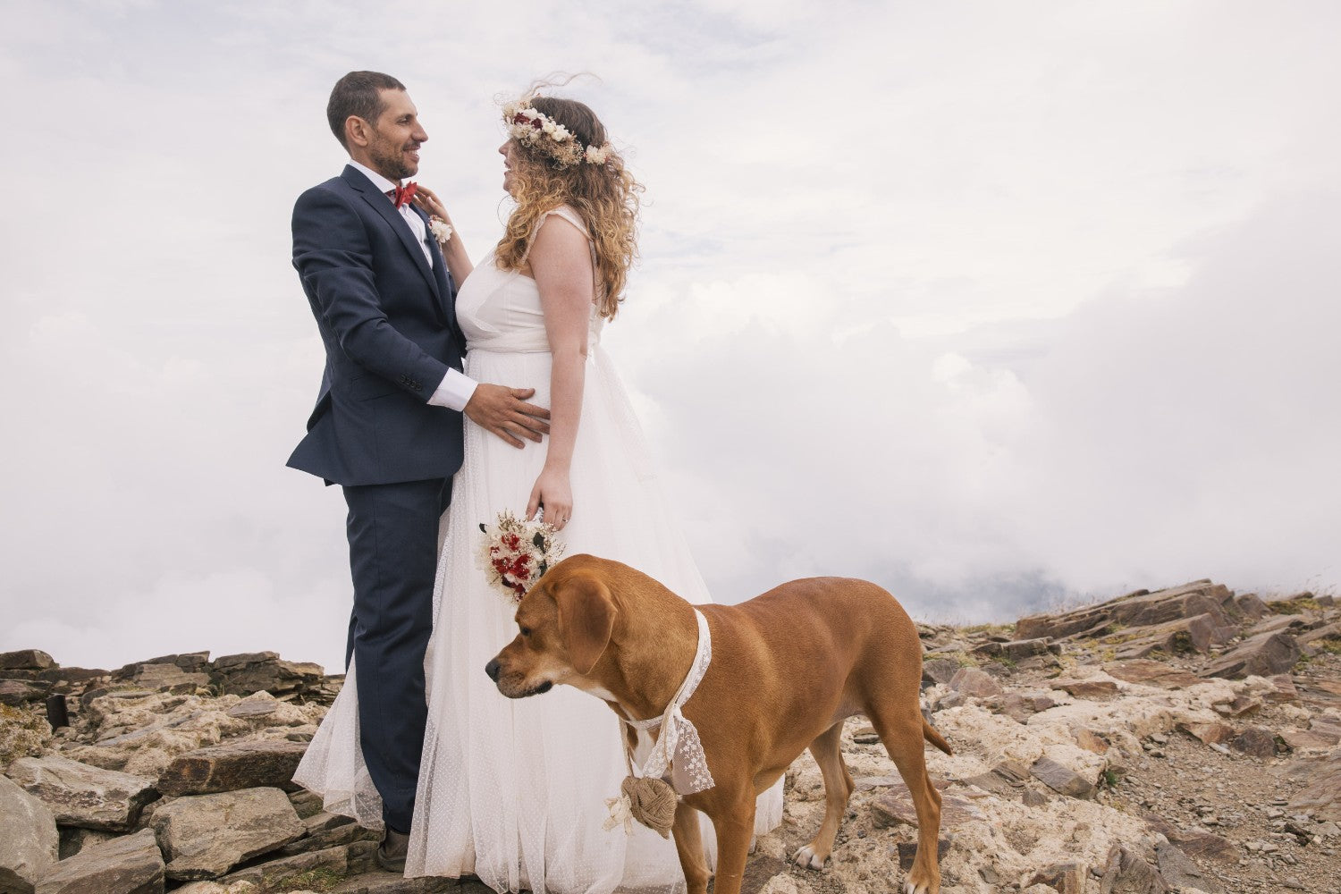 Wedding with a dog in the mountains